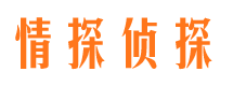 金口河市侦探